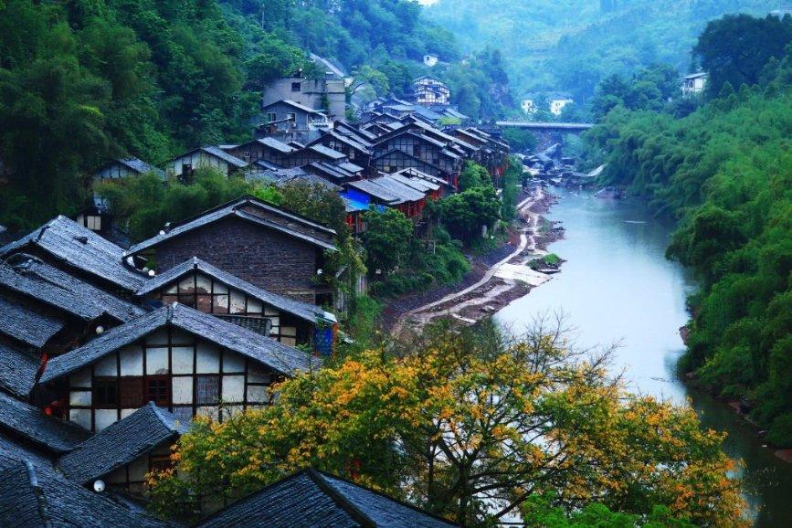 救援小洋葱
